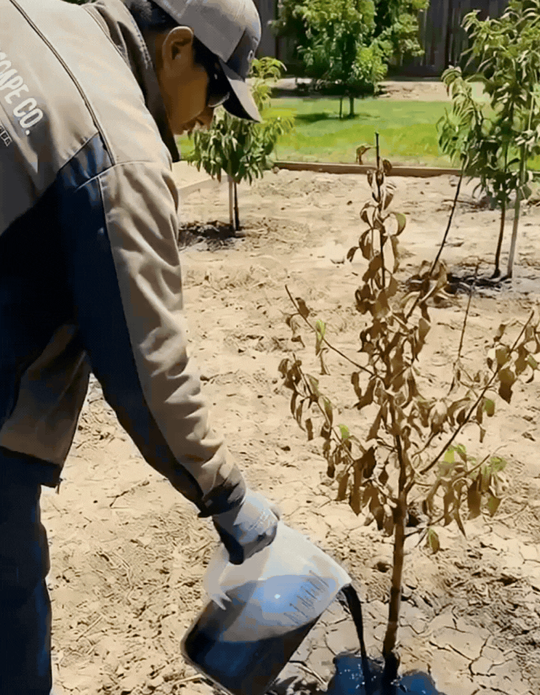 KorzeńMax – Aktywator systemu korzeniowego i wspierania bujnego wzrostu roślin