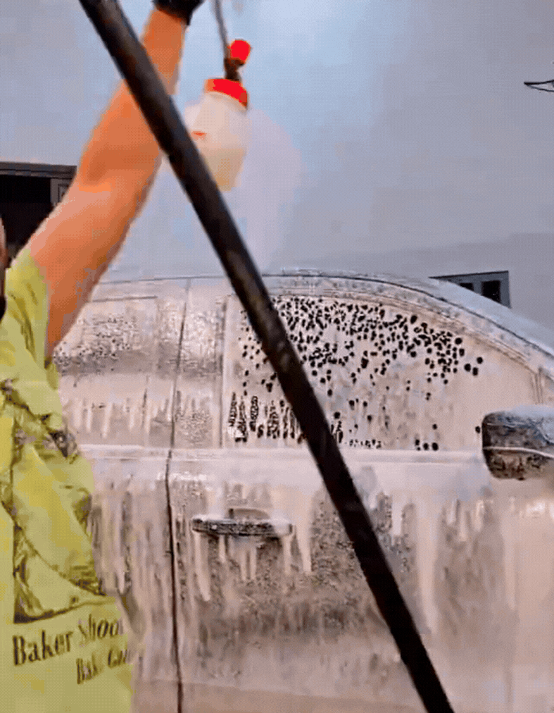 Prestige Shampoo - Perfekcyjny koncentrat  - blask bez wysiłku.